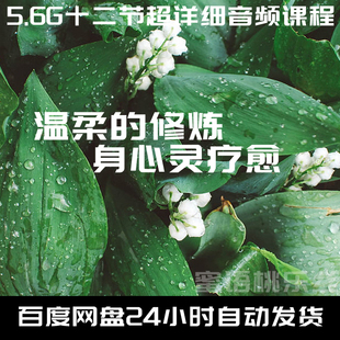 修炼 身心灵疗愈 倾情奉献 12节音频课程 心理疗愈 温柔 M007