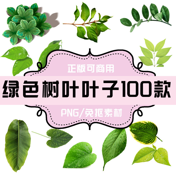 p128 png免抠素材 png透明底素材 真实照片绿色树叶叶子叶片