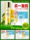 白皙奢华奇肌精华黄金水补水保湿 收缩毛孔专卖正品