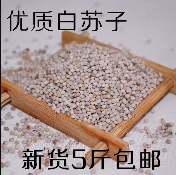 新白苏子苏籽鸟食鸟粮 鹦鹉玉鸟芙蓉鸟金丝雀文鸟玉鸟 五斤装