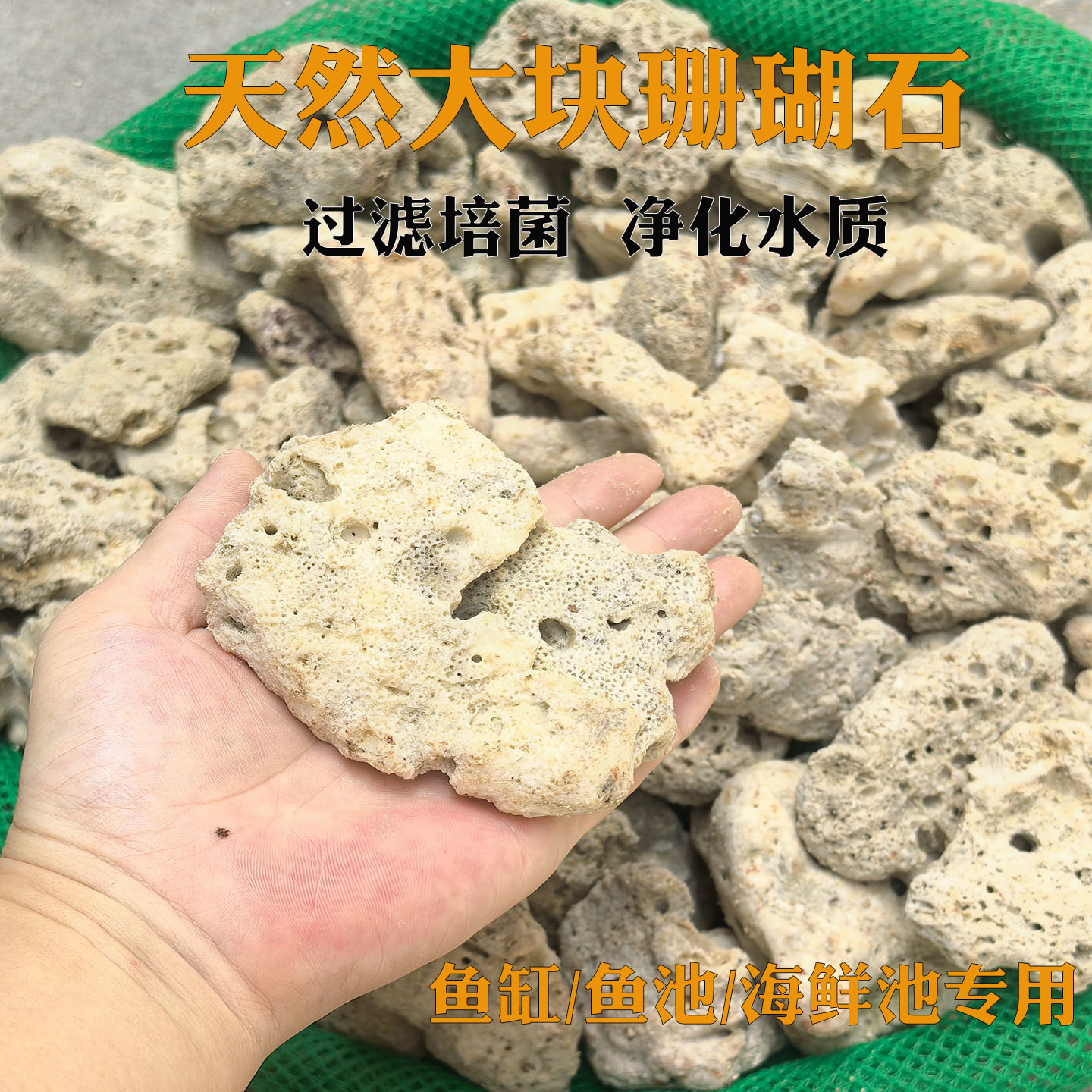 鱼缸过滤珊瑚石造景海鲜池活性碳鱼池专用天然珊瑚骨底砂滤材大块