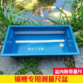 锦鲤测量盆尺盆渔场专用蓝色盆平底方形量尺防水尺度盆展示蓝盆