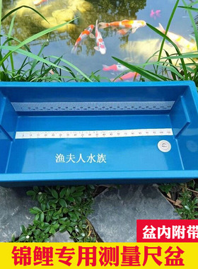 锦鲤测量盆尺盆渔场专用蓝色盆平底方形量尺防水尺度盆展示蓝盆