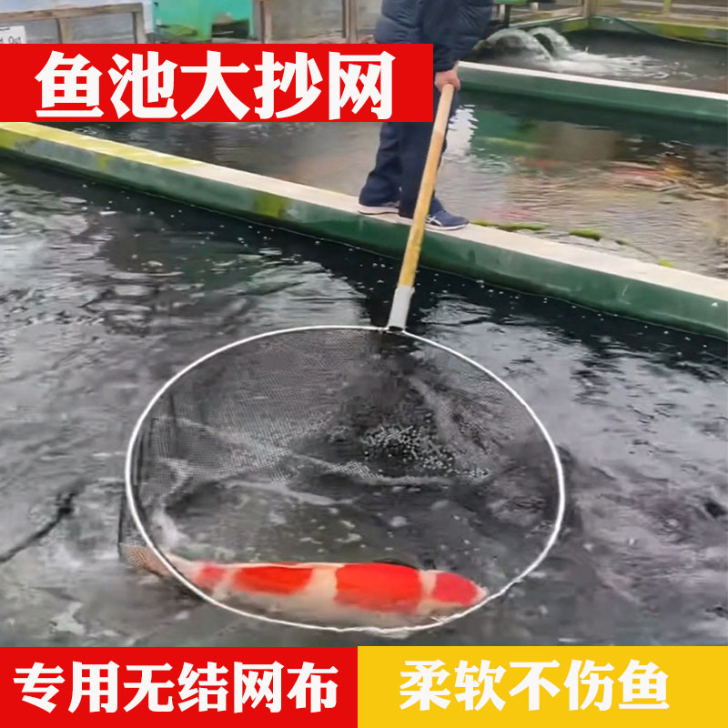 锦鲤捞鱼网鱼池大号鱼网捞网锦鲤专用抄网渔网鱼捞不伤鱼户外网兜