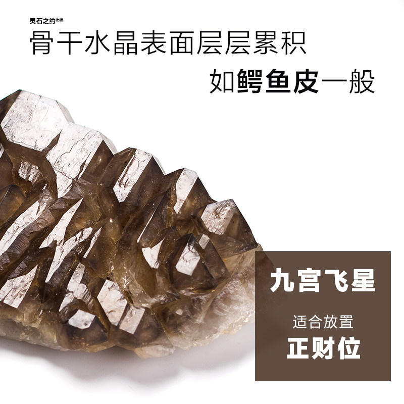 骸骨素材模板 骸骨图片下载 小麦优选