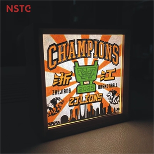 浙江广厦总冠军纪念球迷小夜灯氛围灯摆件摆台2025赛季CBA篮球