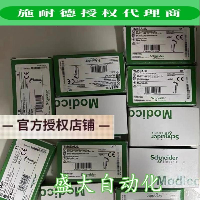 TM5SAI2H/TM5SAI2L施耐德全新原装正品2通道模拟量输入模块现货