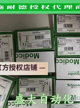 TM5SAI2H/TM5SAI2L施耐德全新原装正品2通道模拟量输入模块现货