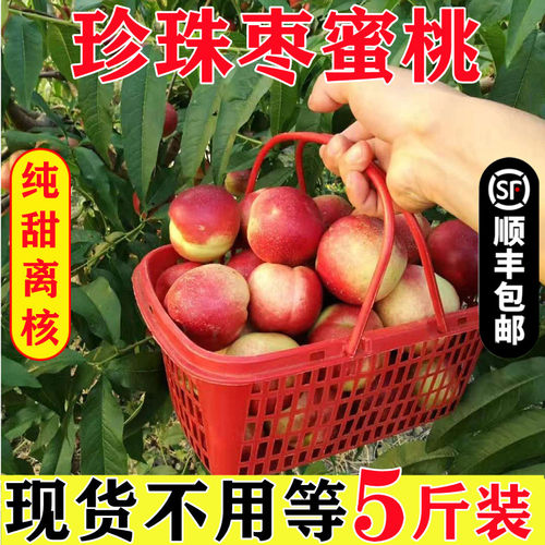 顺丰枣味油桃新鲜孕妇水果