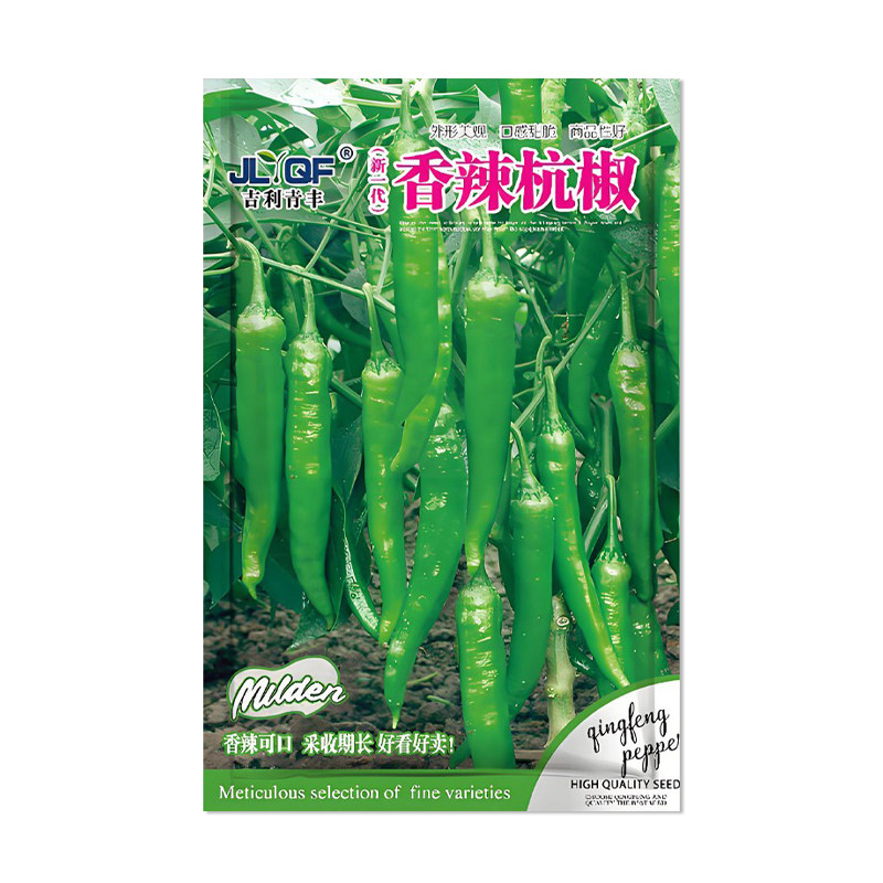 吉利青丰新一代香辣杭椒种子