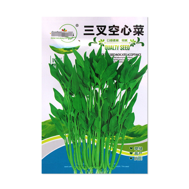 中研盛优三叉空心菜种子