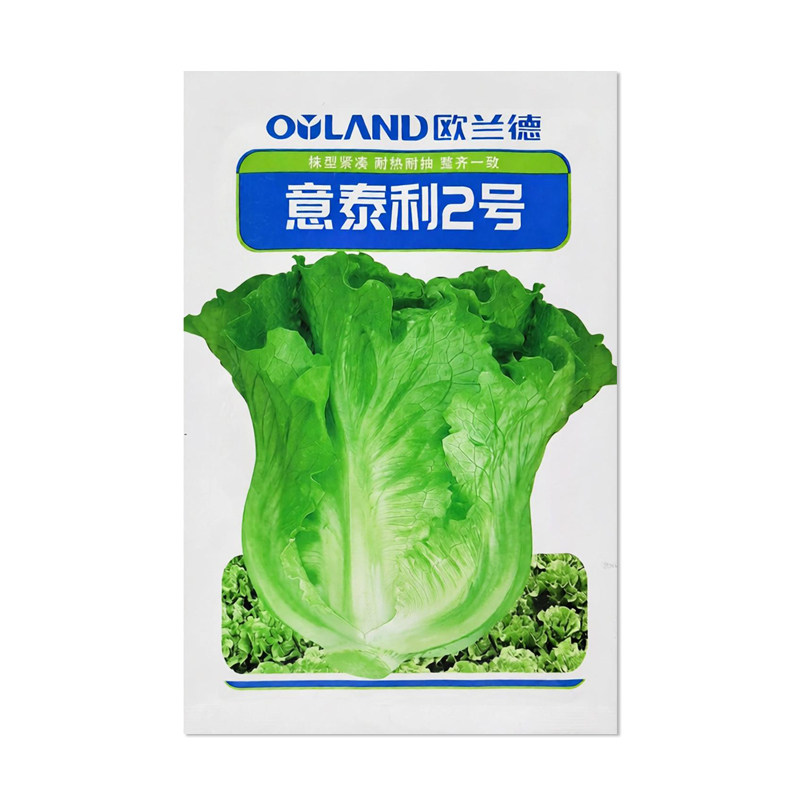 欧兰德意泰利2号生菜种子