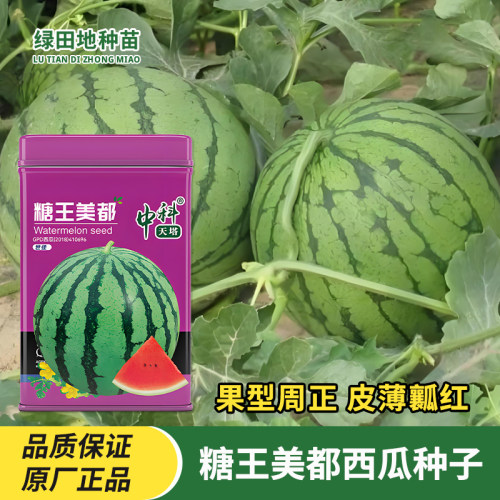 糖王美都西瓜种子薄皮红壤