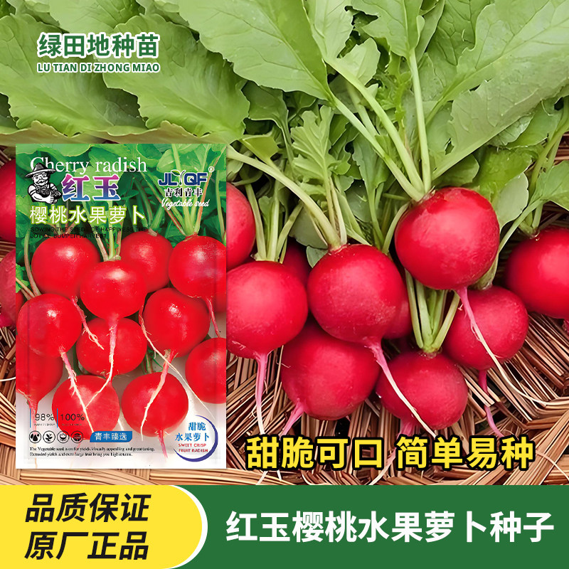 红玉樱桃水果萝卜种子