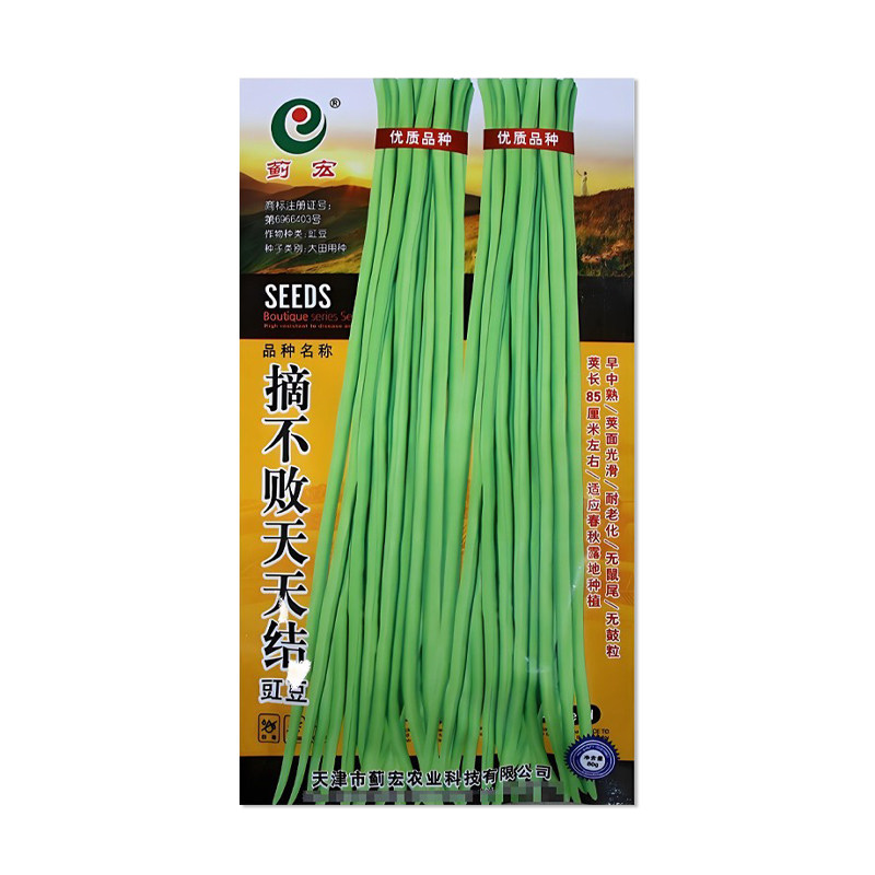 蓟宏摘不败天天结豇豆种子