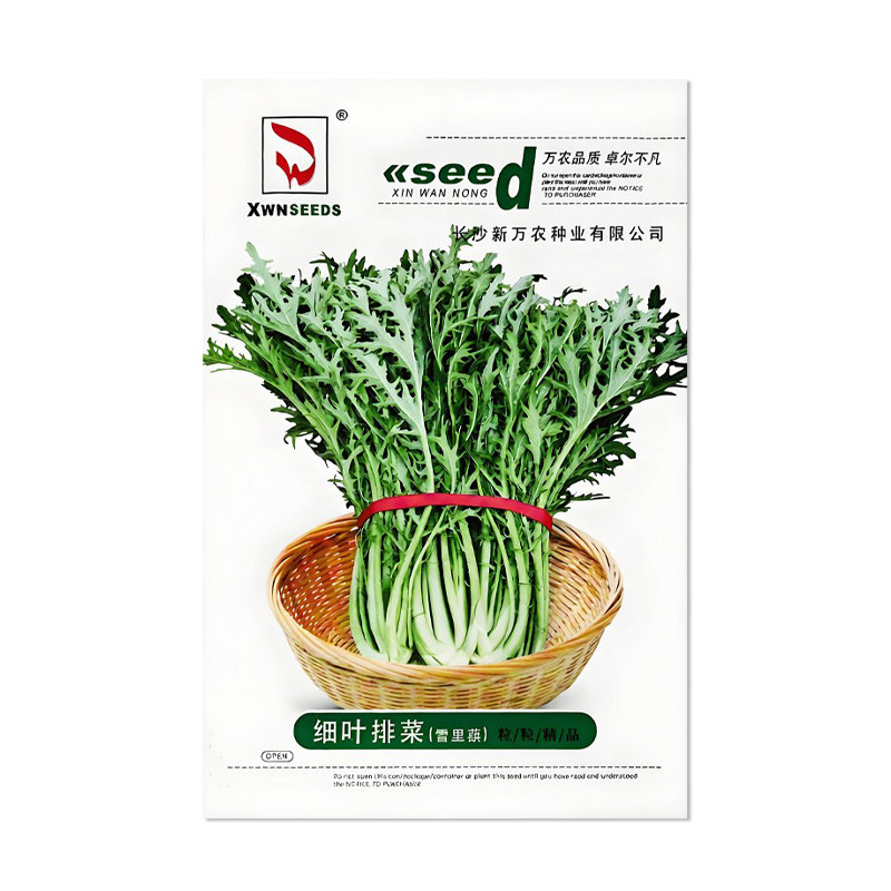 新万农细叶排菜雪里蕻种子