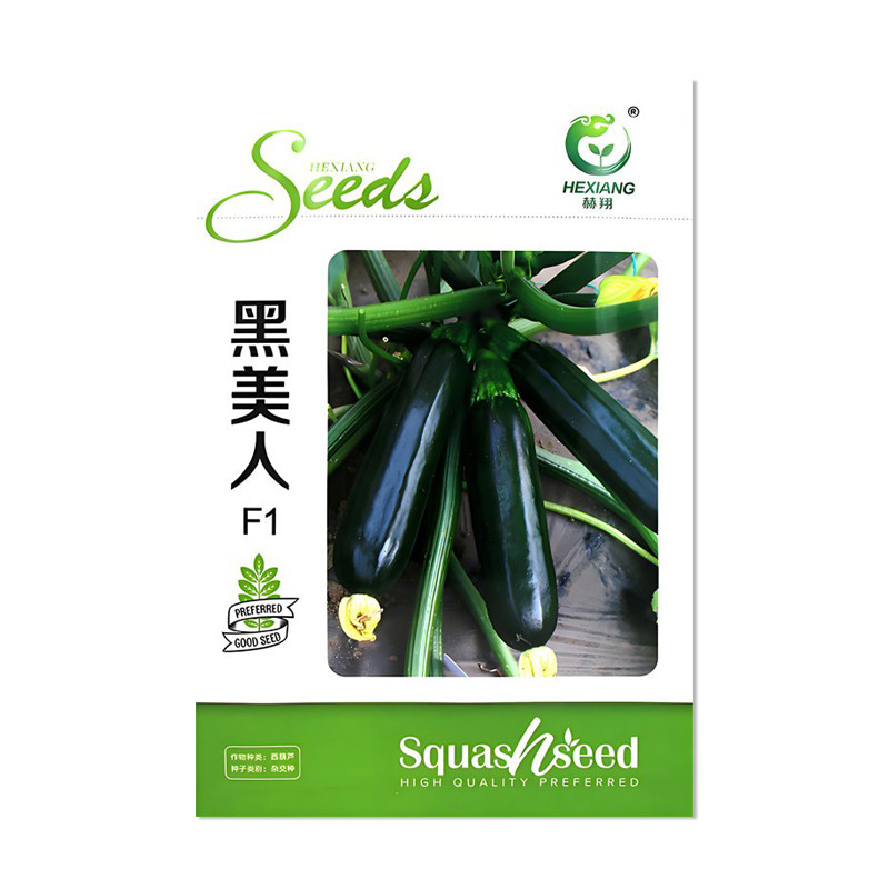 赫翔黑美人长西葫芦种子