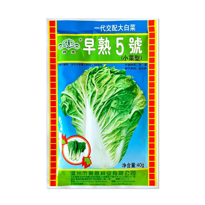 神鹿早熟5号大白菜种子