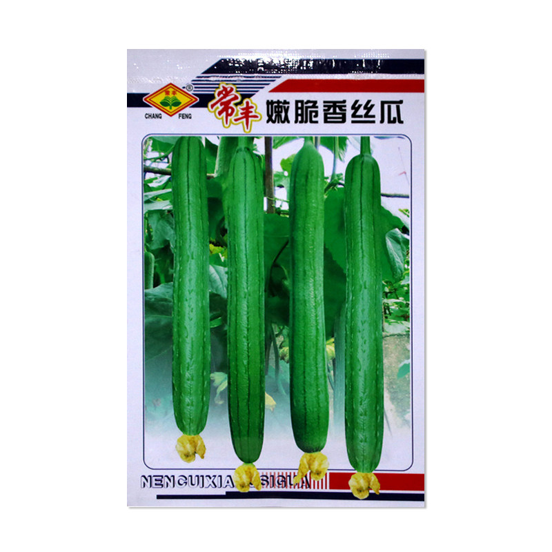 常丰嫩脆香丝瓜种子蔬菜种子