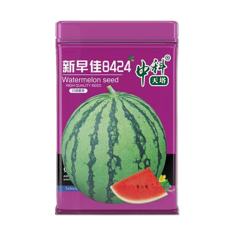 中科天塔新早佳8424西瓜种子