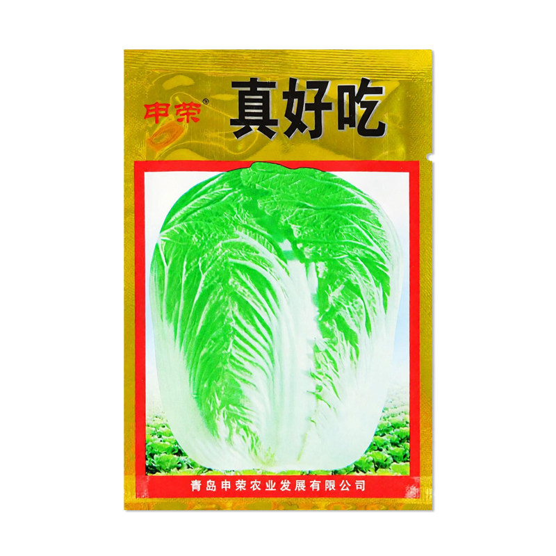 申荣真好吃大白菜种子