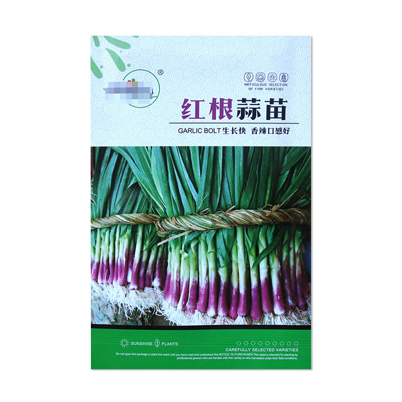 中研盛优红根蒜苗种子