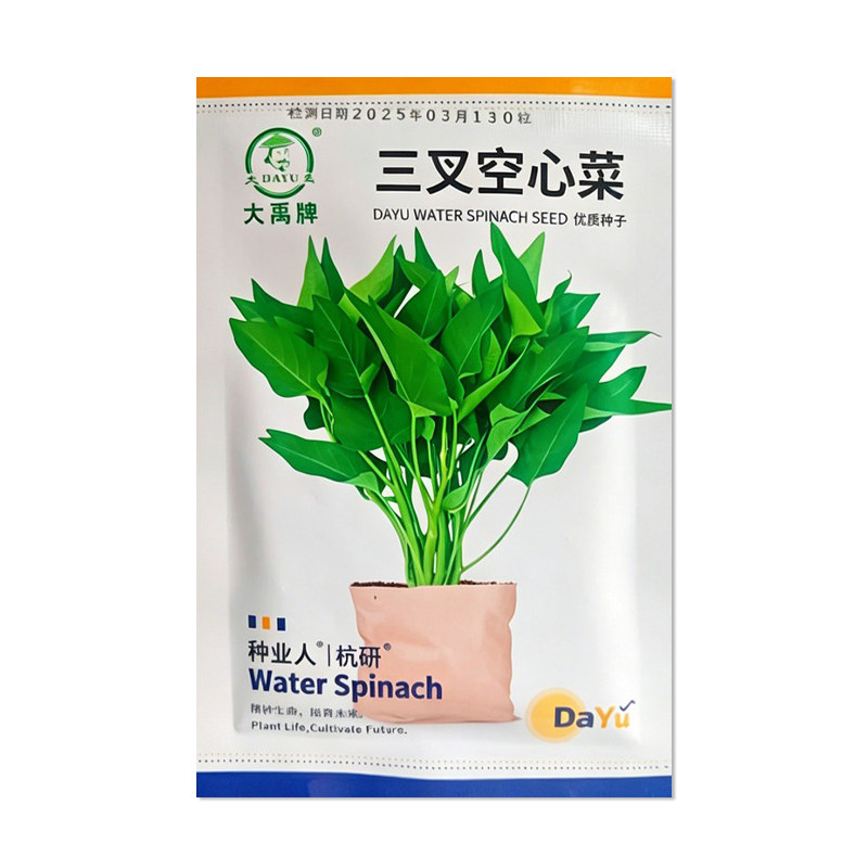 大禹三叉空心菜种子蔬菜种子