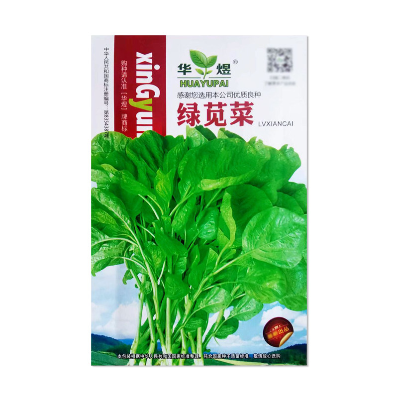 华煜绿苋菜种子四季圆叶苋菜