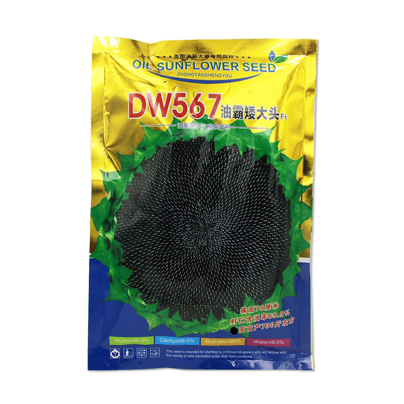 DW567油霸矮大头油葵种子