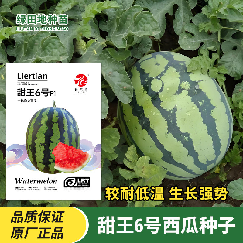 甜王6号西瓜种子瓜果水果种子
