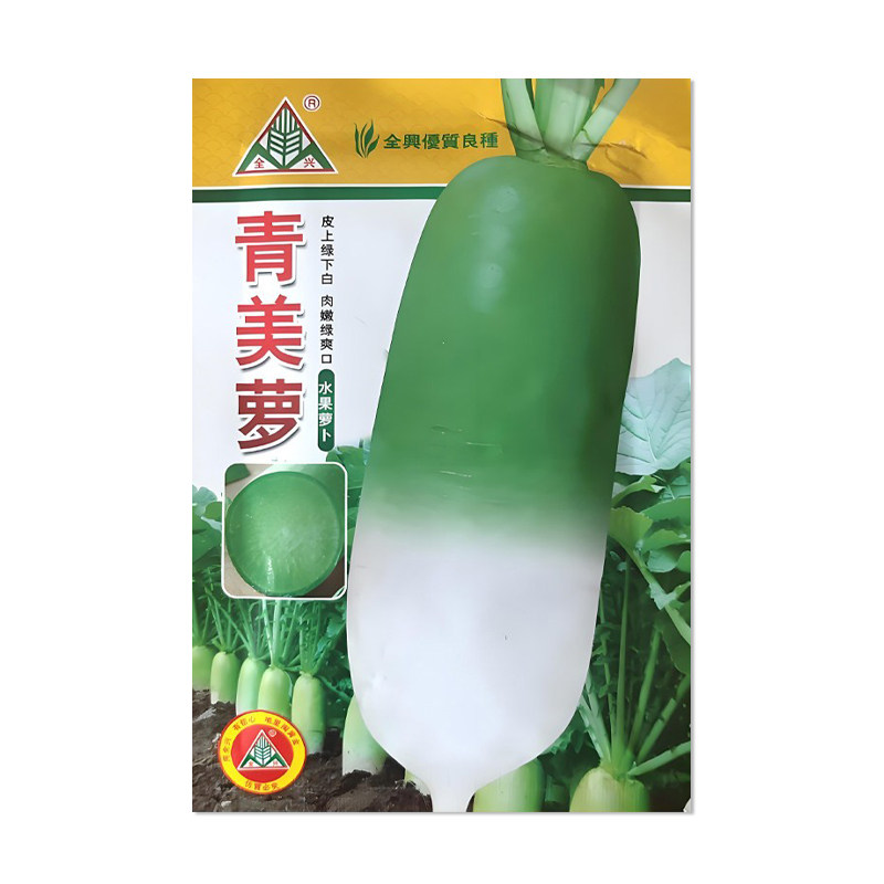 全兴青美萝水果萝卜种子
