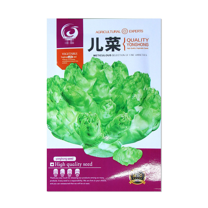 永红儿菜种子多头包儿菜