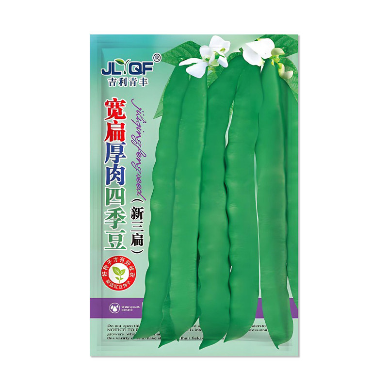 吉利青丰宽扁厚肉四季豆种子