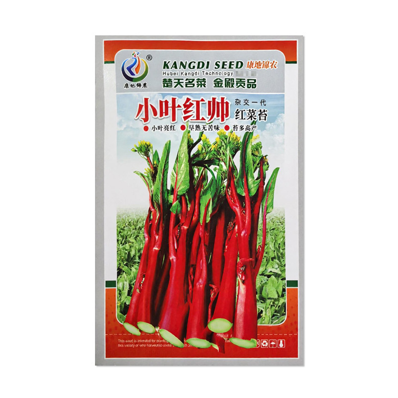 康地锦农小叶红帅红菜苔种子
