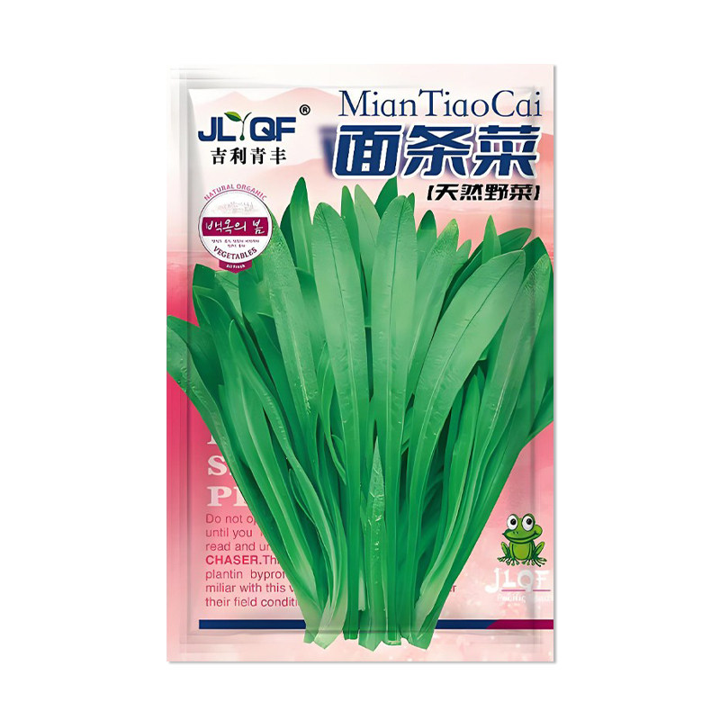 吉利青丰面条菜种子蔬菜种子