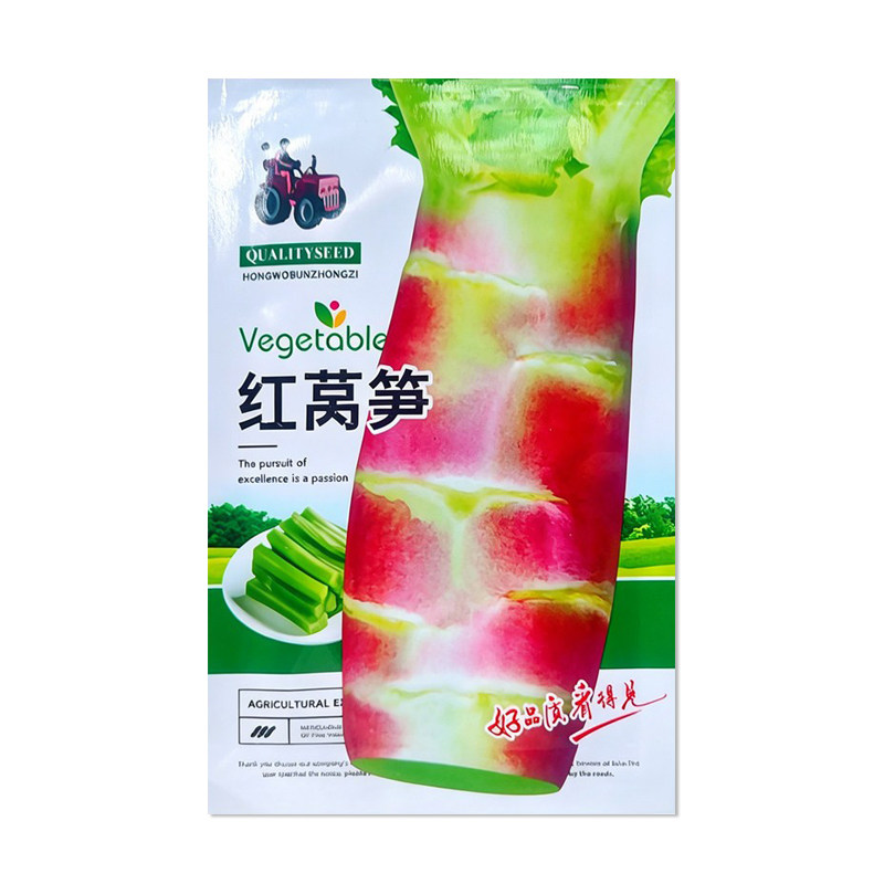 拖车头红莴笋种子蔬菜种子
