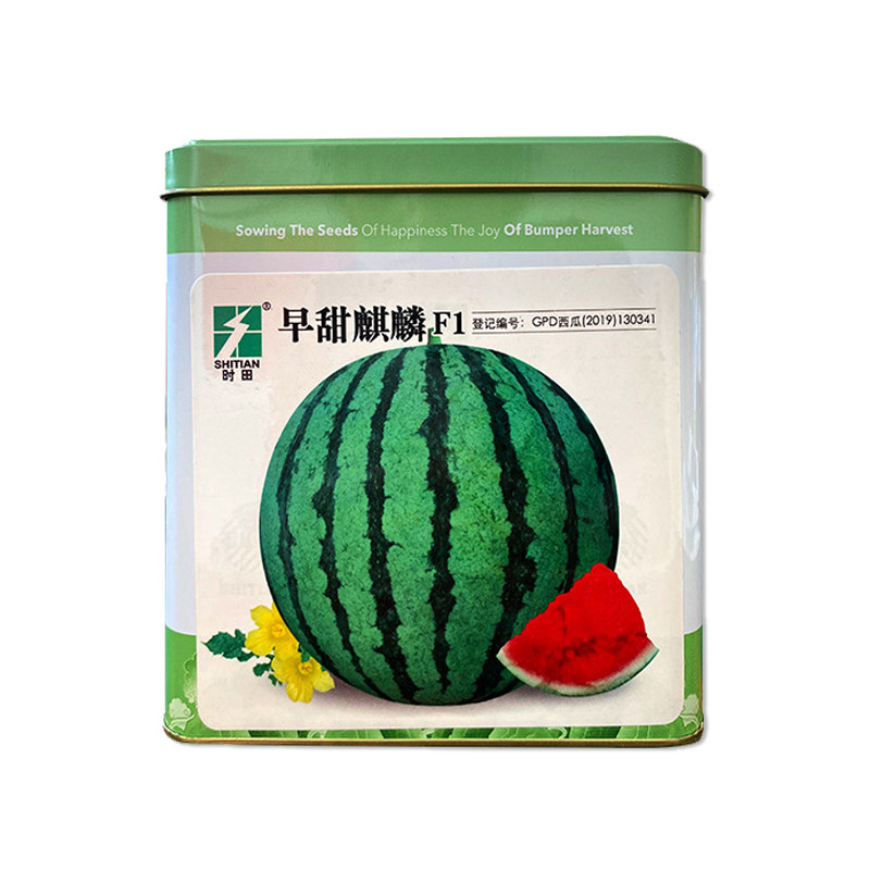 时田早甜麒麟西瓜种子