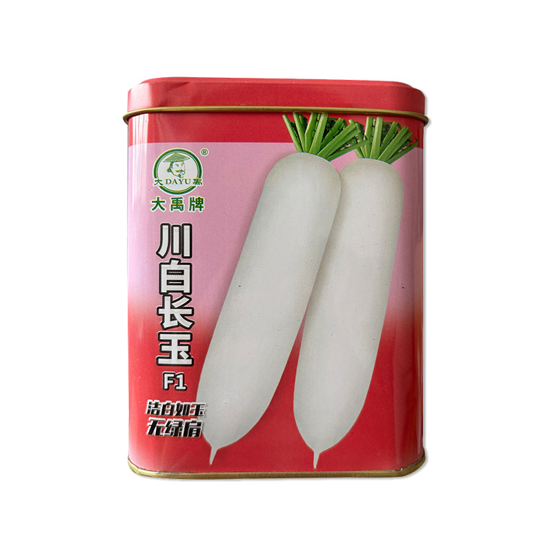 大禹川白长玉萝卜种子