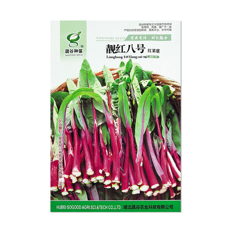 蔬谷靓红八号红菜苔种子