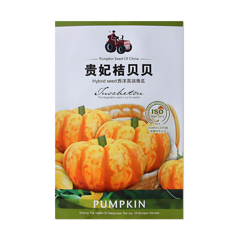 拖车头贵妃桔贝贝南瓜种子
