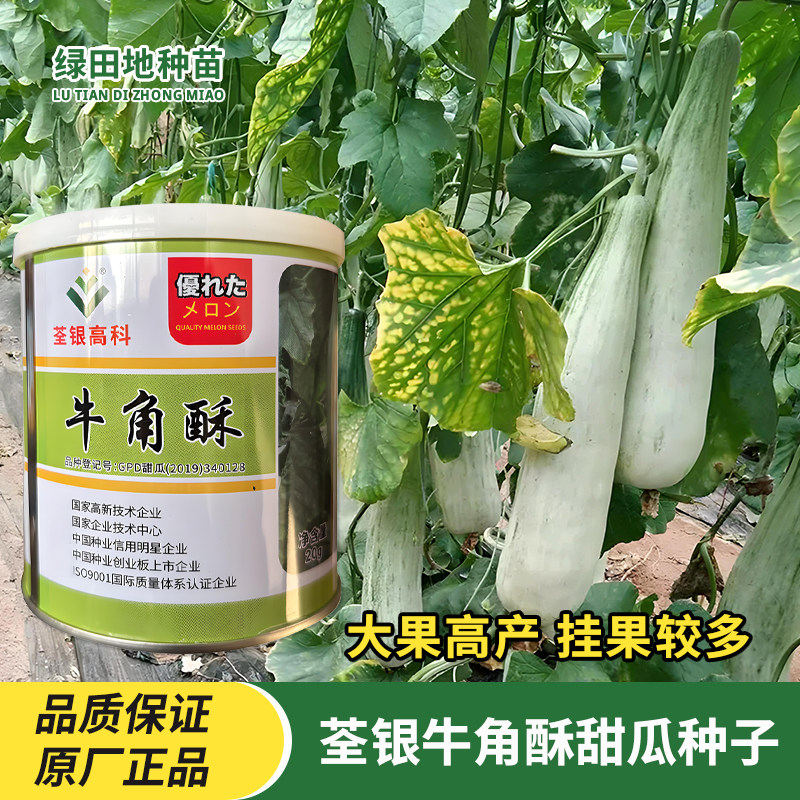 荃银牛角酥甜瓜种子水果种孑