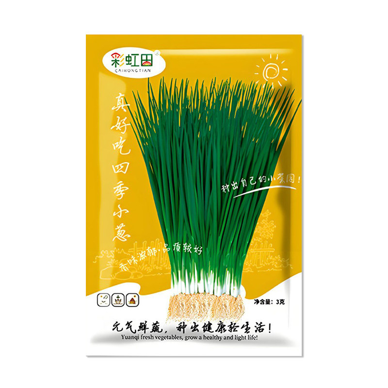 真好吃四季小葱种子香葱种籽
