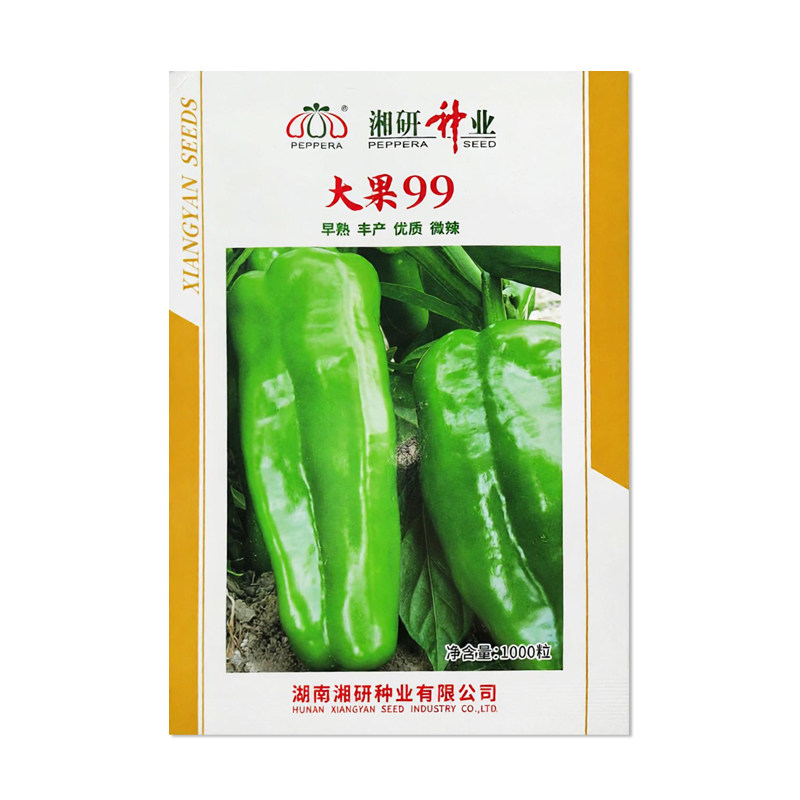 湘研大果99辣椒种子蔬菜种子