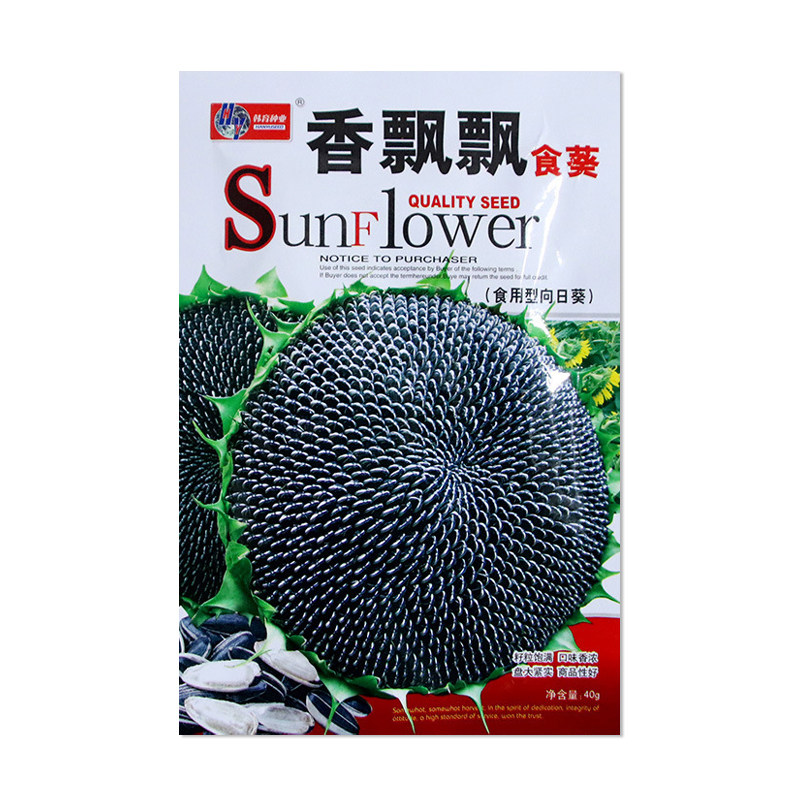 韩育香飘飘食葵种子食用向日葵籽