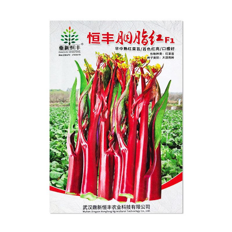 鼎新恒丰胭脂红菜苔种子
