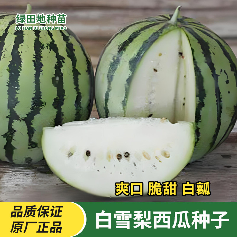 白雪公主雪梨西瓜种子白瓤