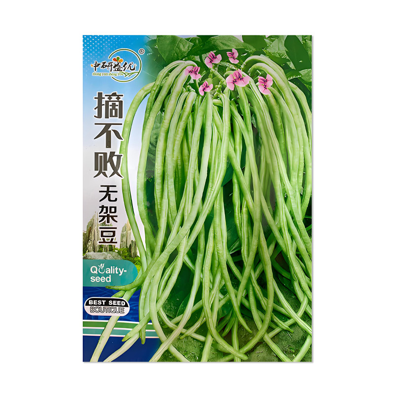 中研盛优摘不败无架豆种子