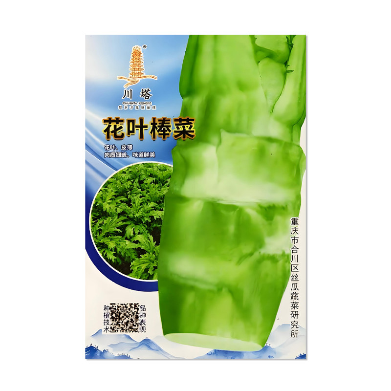 川塔花叶棒菜种子茎叶两用