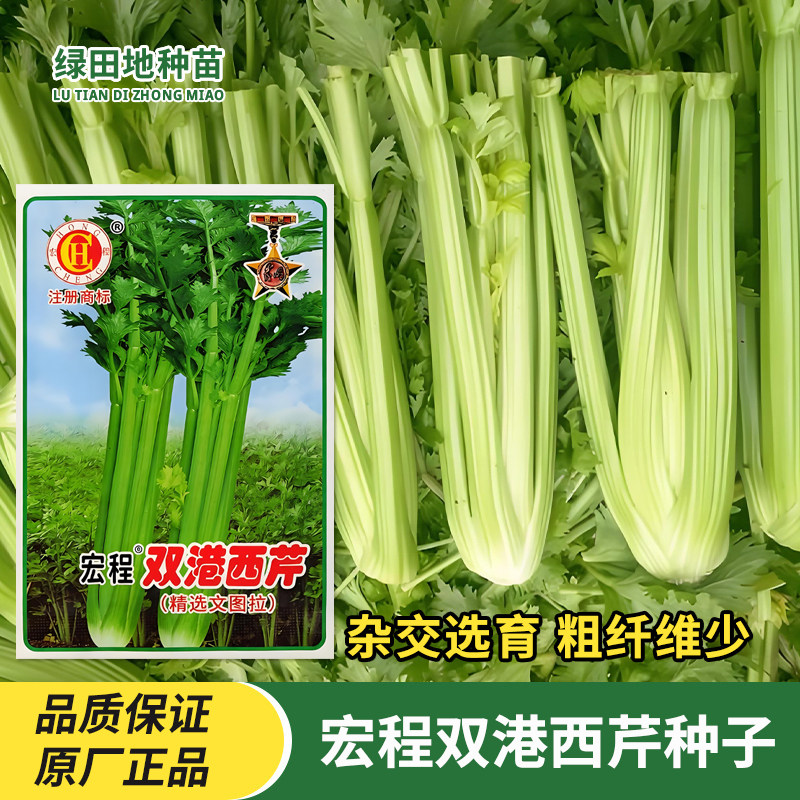 宏程双港西芹种子蔬菜种子