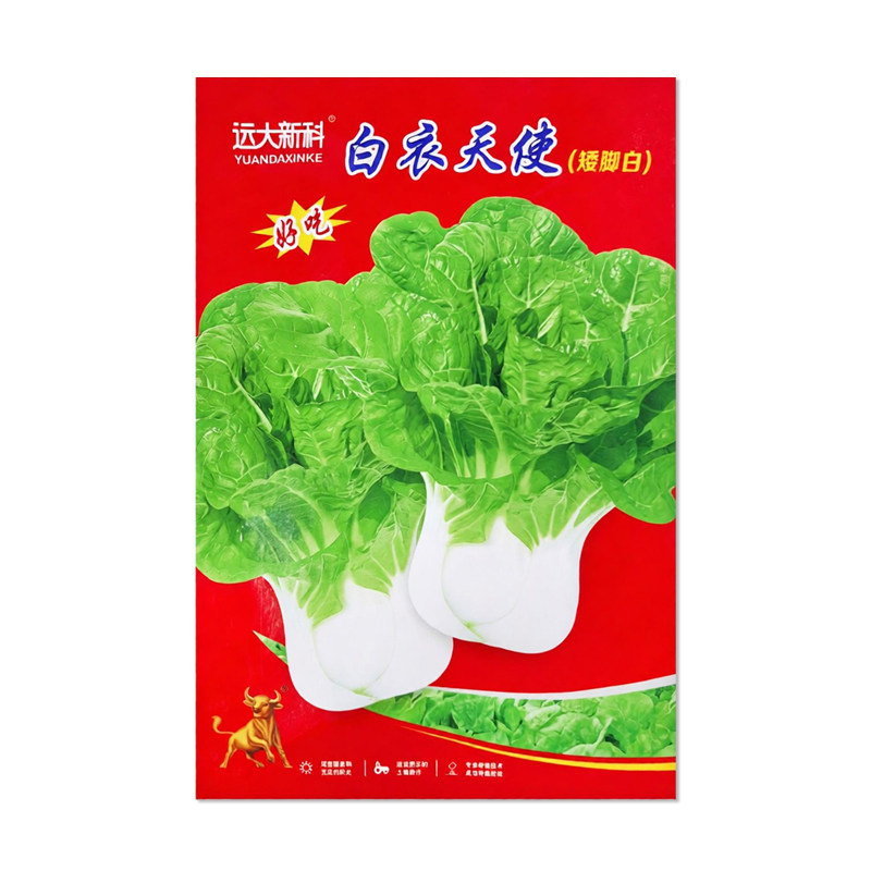 远大新科白衣天使矮脚白菜种子
